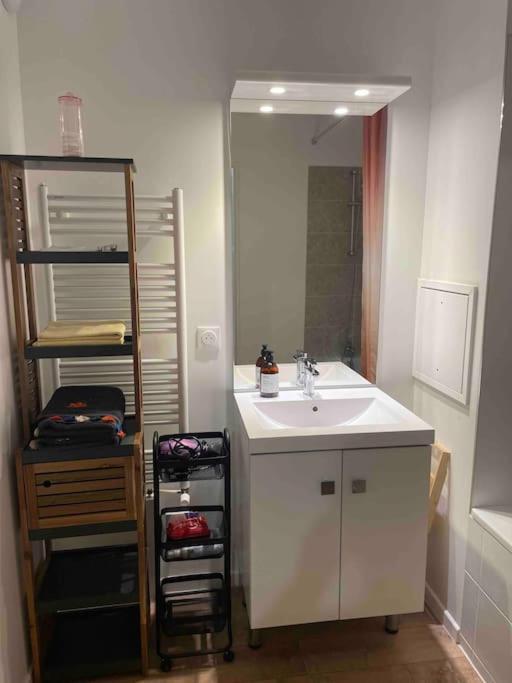 Prego , Cosy Flat Next To Disneylandparis شانتيلو أو بْري المظهر الخارجي الصورة